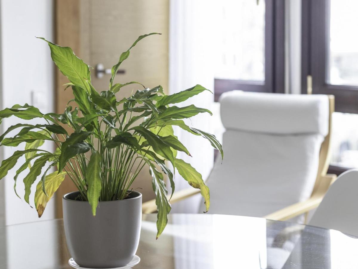 Politxe By Kabia Gestion Apartment Bermeo Ngoại thất bức ảnh